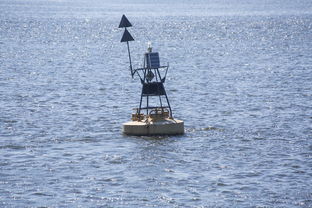 米兰体育官网入口-中方蝶泳入水角度更锐利？图解数据分析，中国蝶泳厉害吗