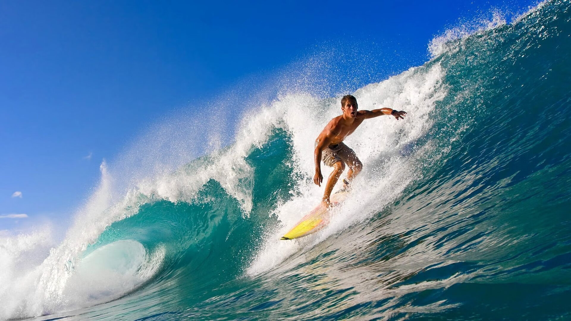 米兰体育-王楚钦霸气扣杀引全场欢呼，王楚钦水平